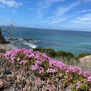 Meet your Posher, Cesz